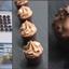 Taystful Online Passion Fruit Butter Ganache Cup Workshop 26th July 2020